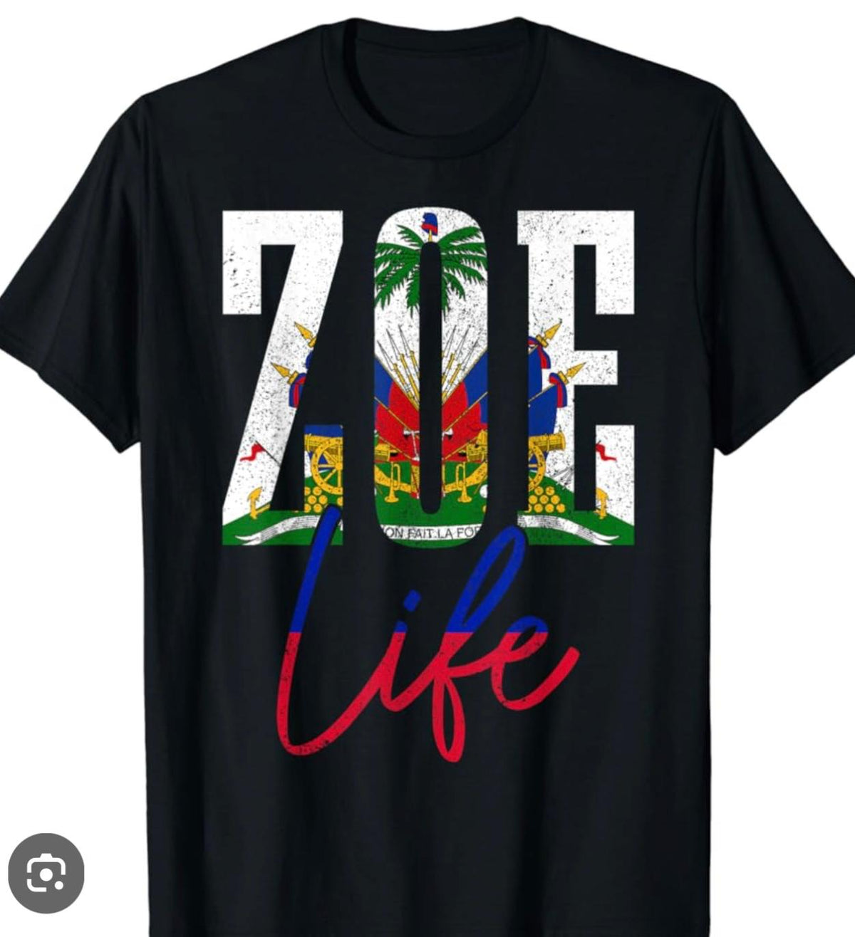 Zoe Life (Haiti)