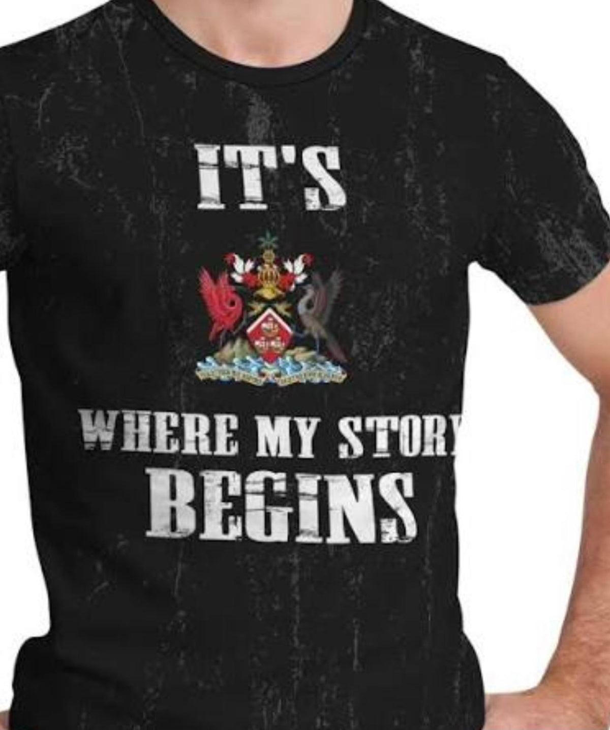 Men’s “It’s Where My Story Begins” with Coat of Arms Print T-shirt