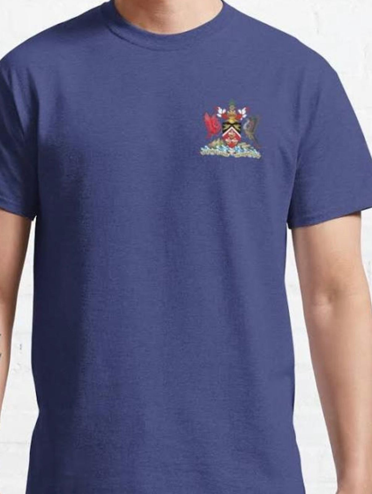 Men’s Coat of Arms Symbol Print T-shirt