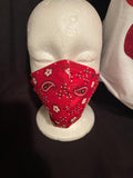 Protective Mask
