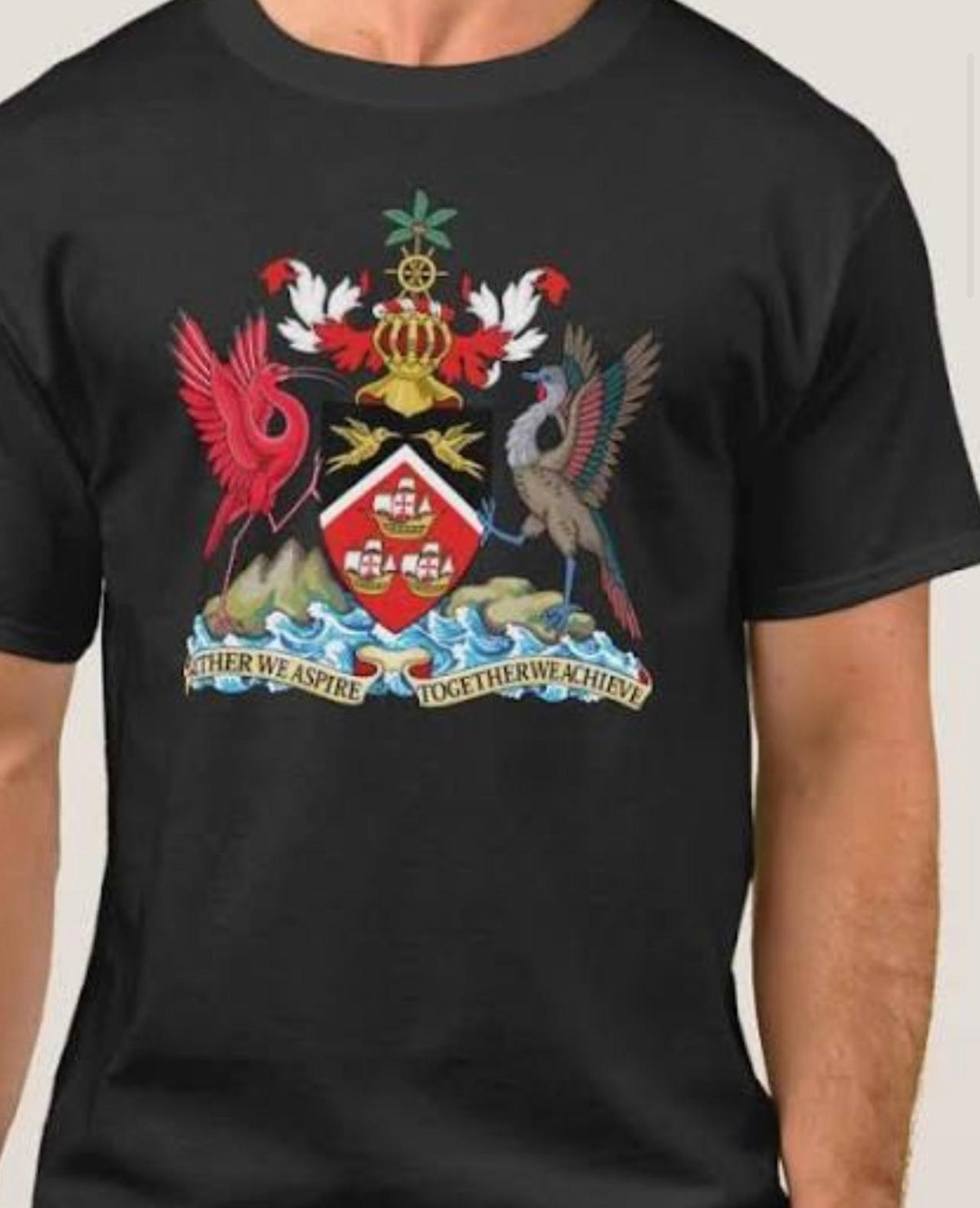 Men’s Coat of Arms Symbol Print T-shirt